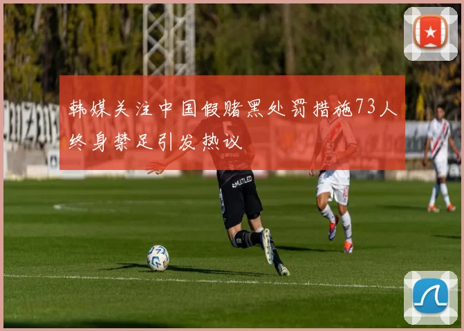 韩媒关注中国假赌黑处罚措施73人终身禁足引发热议